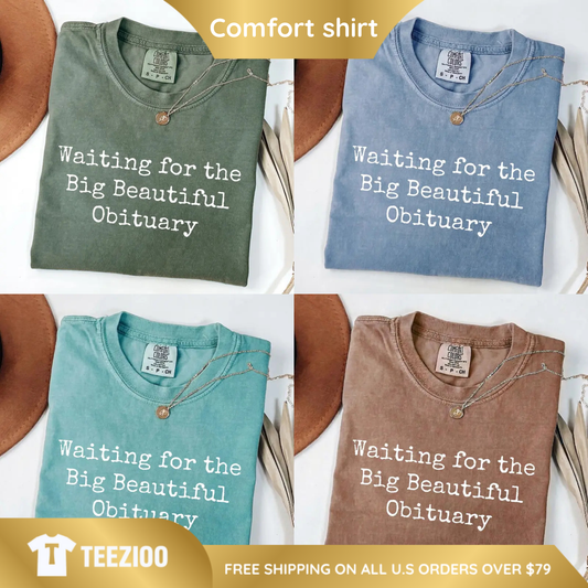 Big Beautiful Story Comfort Colors Graphic Tee.png
