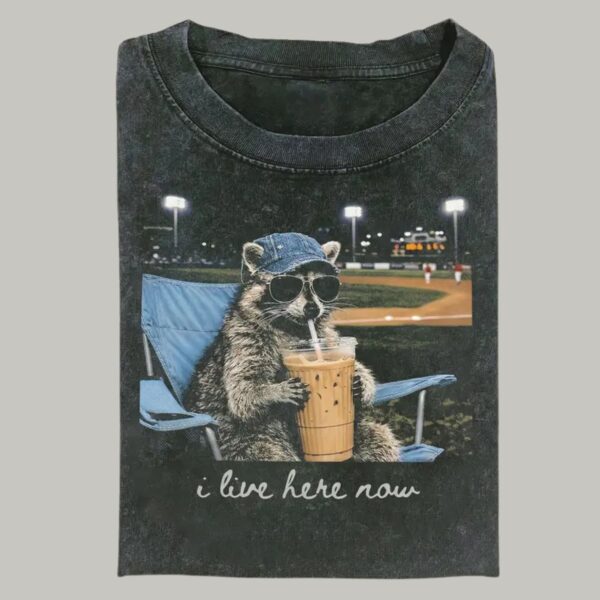 Comfort Colors Funny Raccoon Baseball T Shirt Retro Trash Panda Ballfield Graphic Tee Sarcastic Sports Humor Shirt.jpg